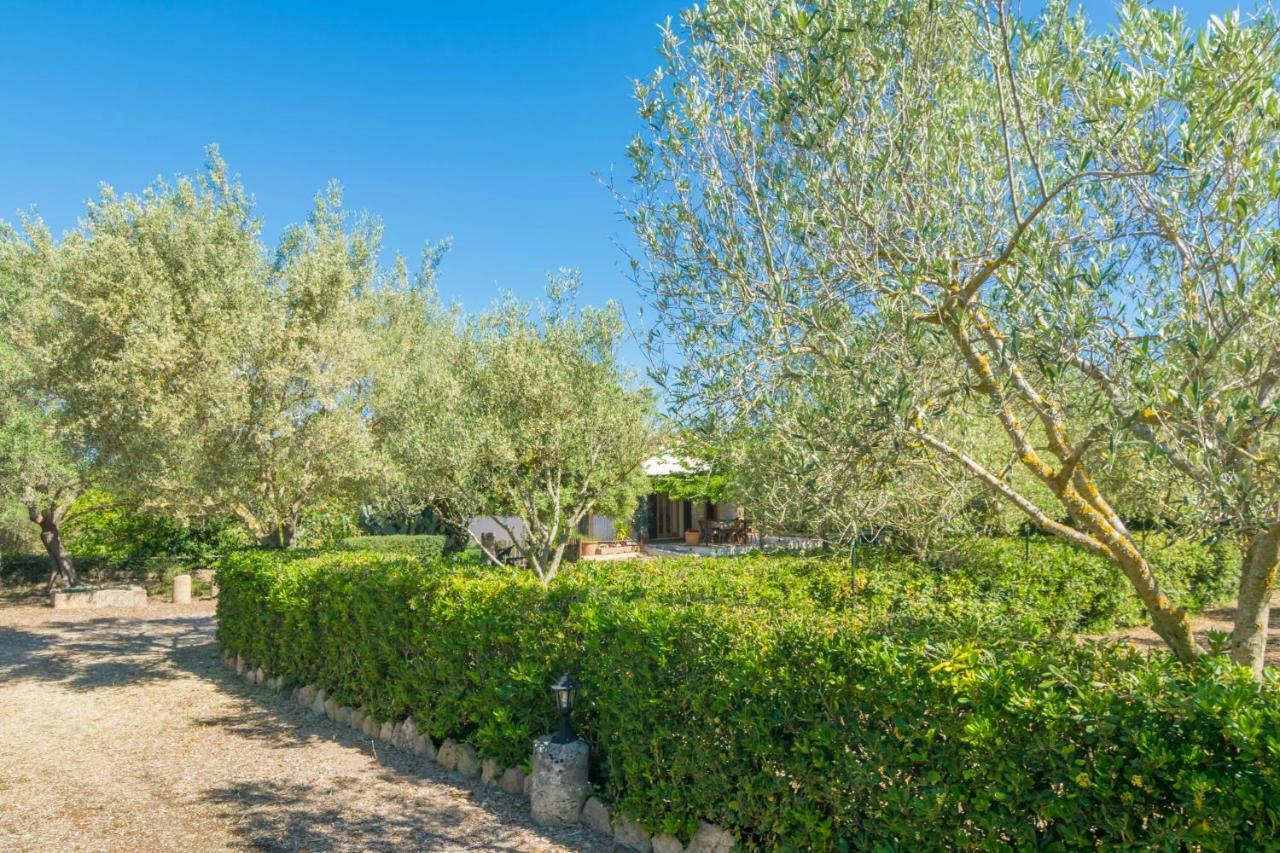 Can Mostatxet Can Picafort (Mallorca) Exterior foto